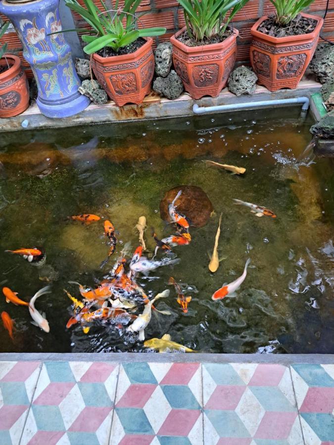 Hoa Lan Motel & Homestay Giong Tu Dien Zewnętrze zdjęcie